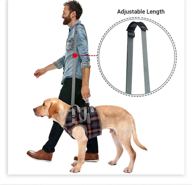 Arnés de apoyo para perros discapacitados, arnés de elevación para perros, arnés de rehabilitación, soporte de cintura para lesiones antiguas en las articulaciones, accesorios para caminar para perros