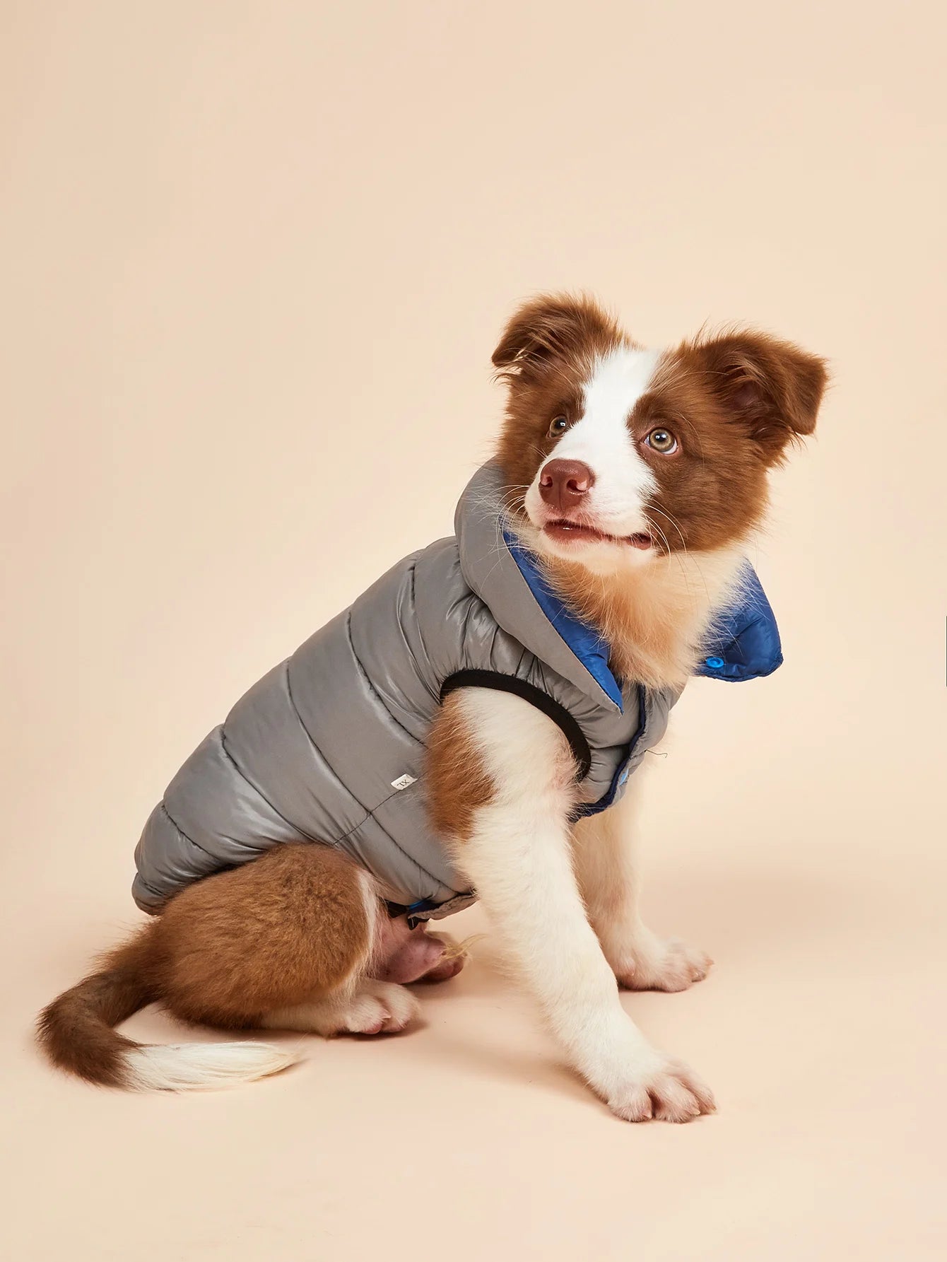 Vêtements imperméables pour grands chiens, veste d'hiver réversible pour animaux de compagnie, douce, rembourrée, bouffante, doudoune légère, Husky 5XL