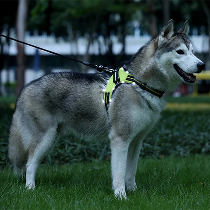 Arnés LED recargable para mascotas, perro con luz intermitente Led de nailon, Collar, correa de seguridad para mascotas, accesorios para perros