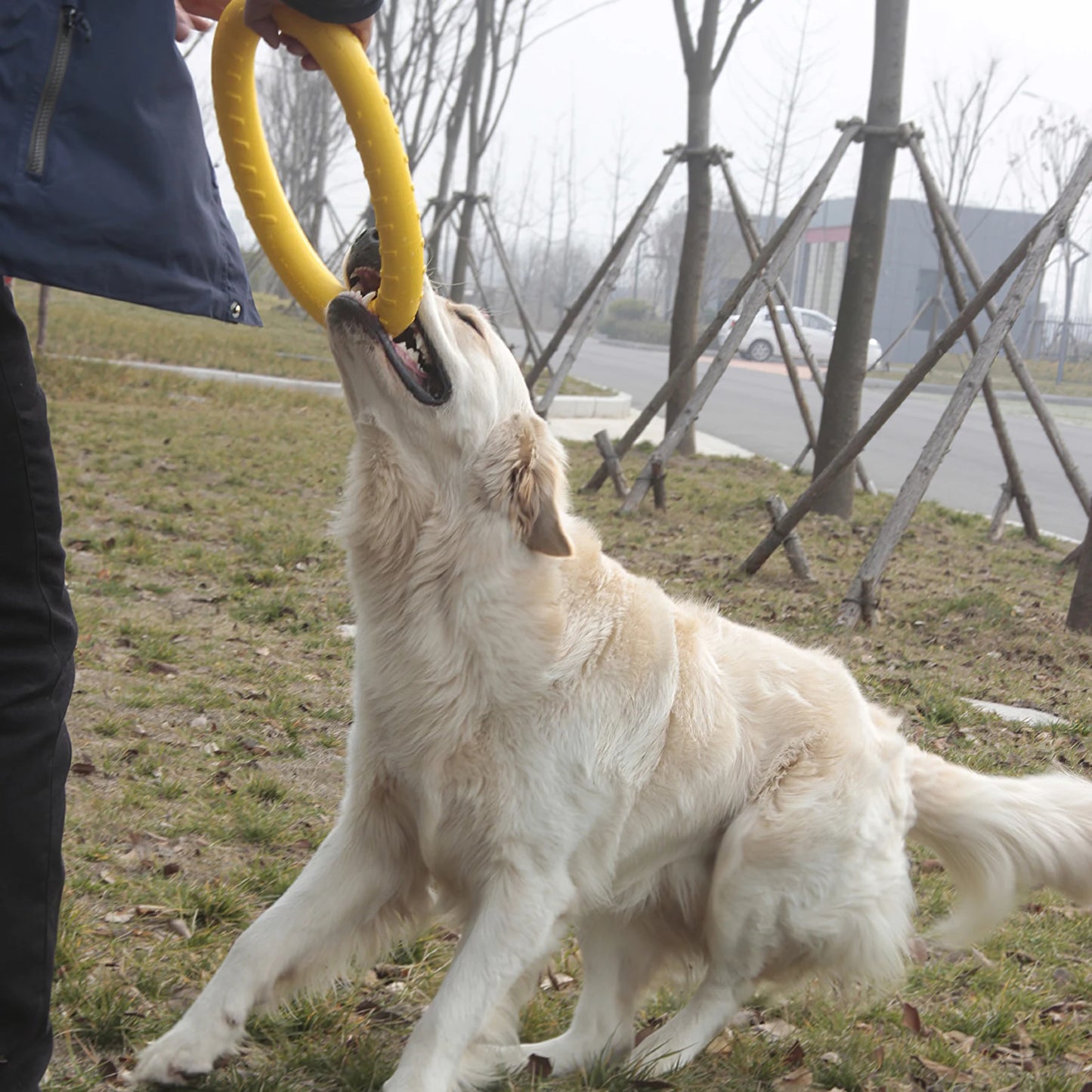 Dog Toy Flying Discs EVA Dog Training Ring Puller Resistant Bite Floating Toy Puppy Outdoor Interactive Ring Toy Pet Accessories