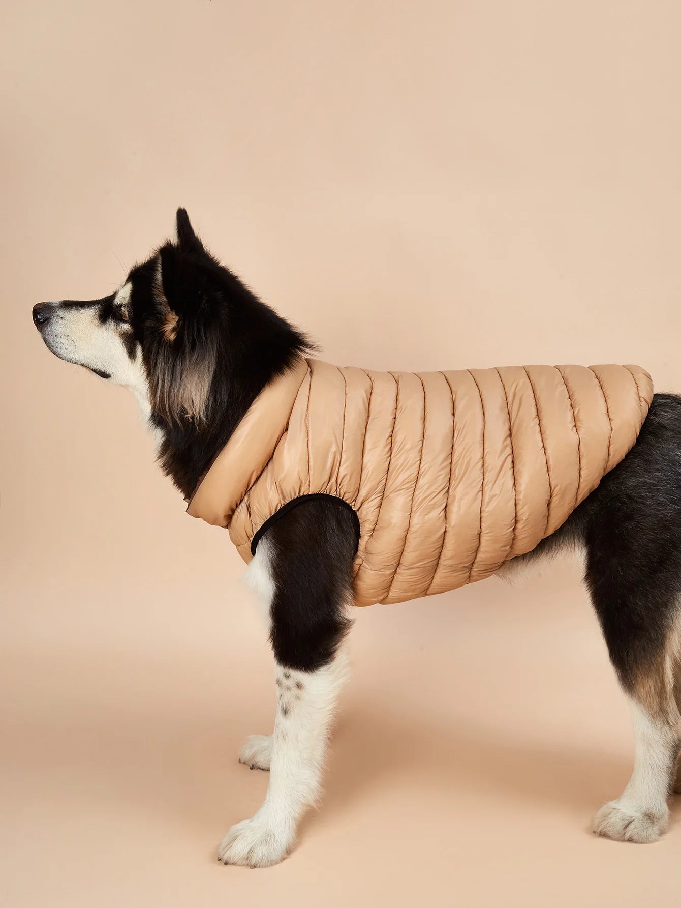 Waterproof Dog Clothes for Big Dogs Winter Reversible Pet Jacket Soft Padded Puffy Large Dog Down Jacket Light Weight Husky 5XL