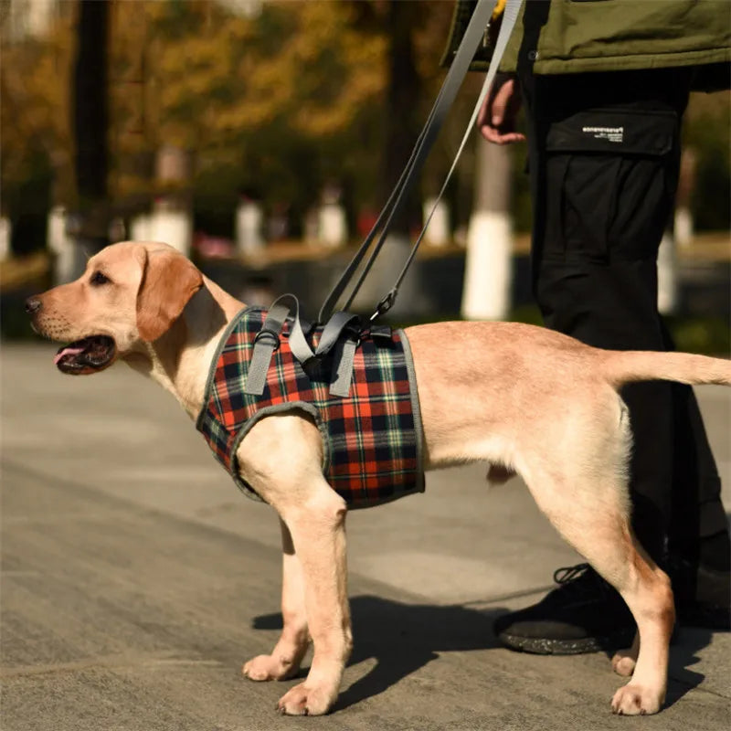 Arnés de apoyo para perros discapacitados, arnés de elevación para perros, arnés de rehabilitación, soporte de cintura para lesiones antiguas en las articulaciones, accesorios para caminar para perros