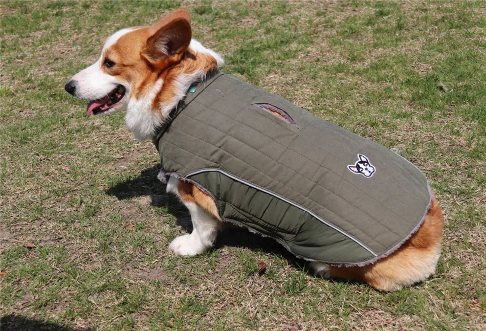 Ropa de invierno para perros Ropa gruesa de lana cálida para perros Chaqueta de invierno para perros Reflectante Ajustable Vientre Acolchado Abrigo para perros Capucha extraíble Estilo de moda