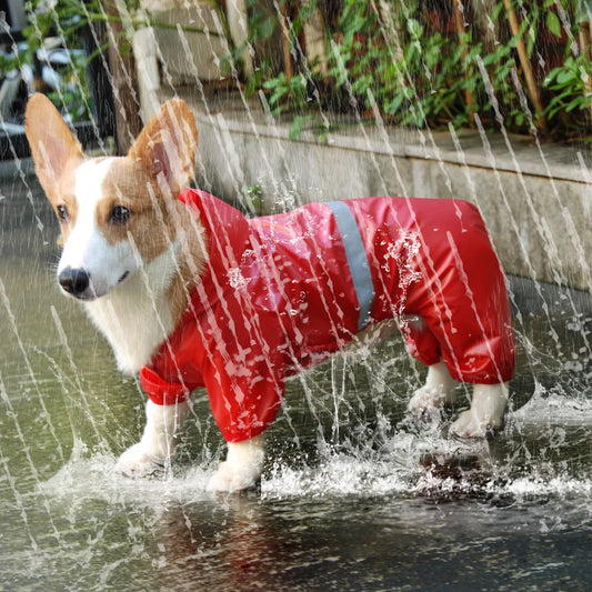 Combinaison imperméable imperméable pour chien, manteau de pluie réfléchissant, protection solaire, vêtements d'extérieur, veste pour petit chien, fournitures pour animaux de compagnie