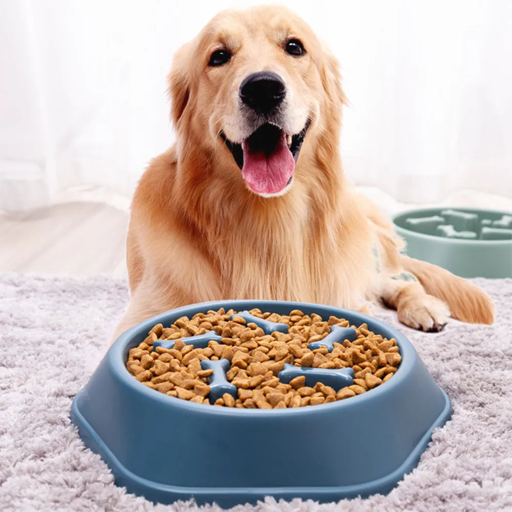 Cuenco para perros, comedero lento para perros, plato para comer lento para cachorros y gatos, plato de comida antigolpes, cuenco para comida para perros y gatos, suministros para mascotas