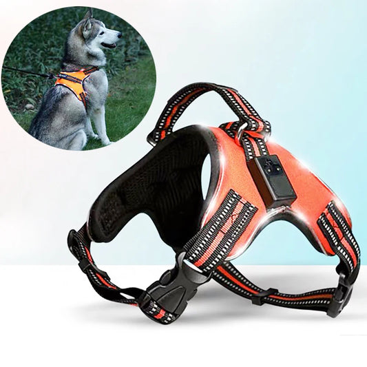 Arnés LED recargable para mascotas, perro con luz intermitente Led de nailon, Collar, correa de seguridad para mascotas, accesorios para perros