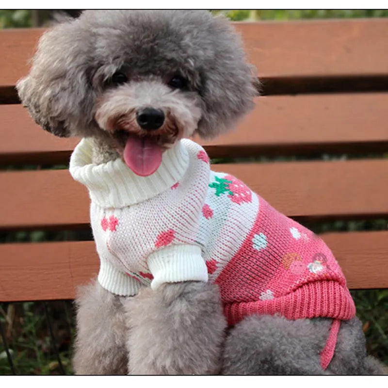 Warm Pet Clothes for Small Medium Dogs Winter Christmas Dogs Sweater Pet Clothing Knitting Costume Coat Cartoon Print Clothes Fashion Style