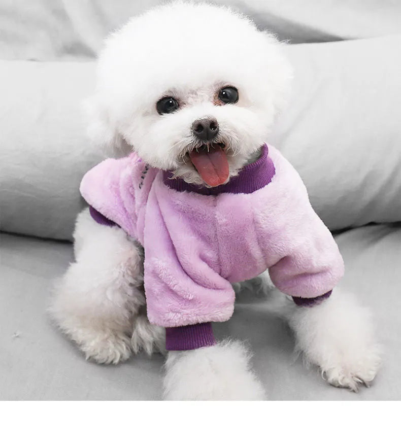 Warm Fleece Pet Clothes Cute Fruit Print Coat Small Medium Dog Cat Shirt Jacket Teddy French Bulldog Chihuahua Winter Outfit Fashion Style