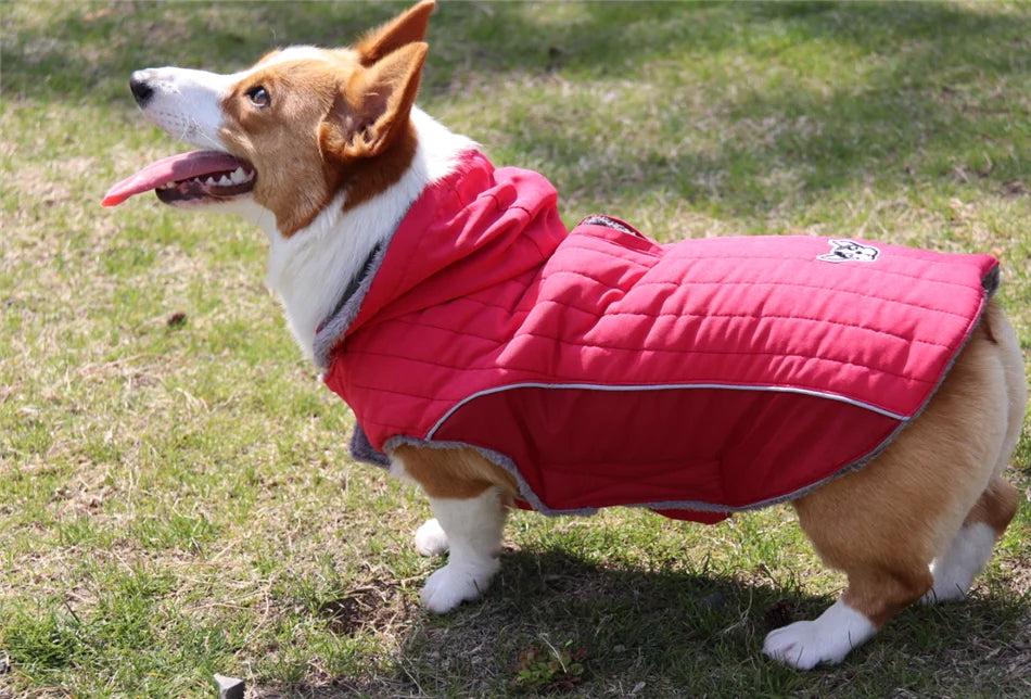 Ropa de invierno para perros Ropa gruesa de lana cálida para perros Chaqueta de invierno para perros Reflectante Ajustable Vientre Acolchado Abrigo para perros Capucha extraíble Estilo de moda