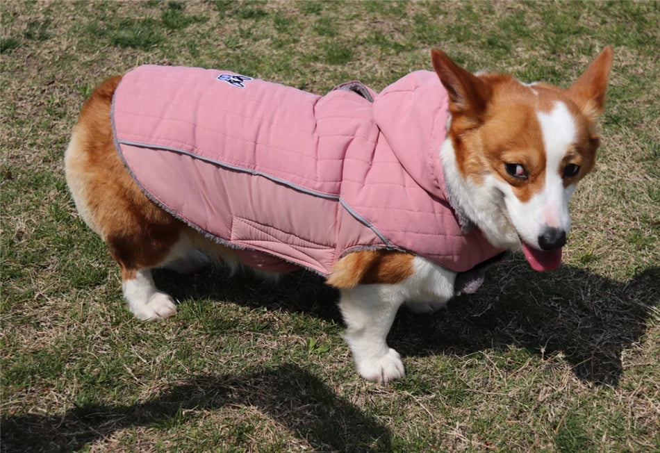 Vêtements d'hiver pour chien en polaire épaisse, vêtements chauds pour chien, veste d'hiver réfléchissante réglable sur le ventre, manteau matelassé pour chien, capuche amovible, Style à la mode