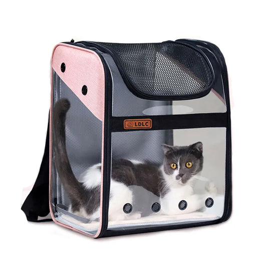 Sac de transport extensible pour chat, sac à dos Transparent à vue complète, respirant, Portable, de voyage, pour animaux de compagnie, pour chats et petits chiens