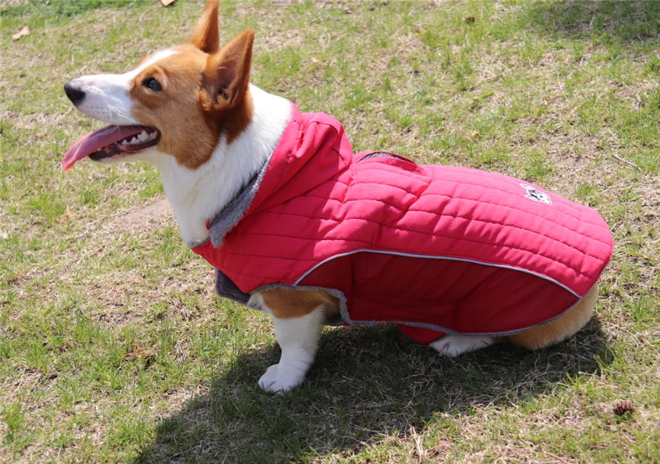 Ropa de invierno para perros Ropa gruesa de lana cálida para perros Chaqueta de invierno para perros Reflectante Ajustable Vientre Acolchado Abrigo para perros Capucha extraíble Estilo de moda