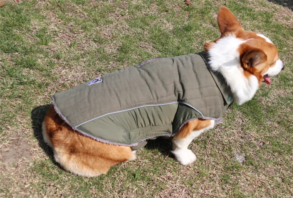 Ropa de invierno para perros Ropa gruesa de lana cálida para perros Chaqueta de invierno para perros Reflectante Ajustable Vientre Acolchado Abrigo para perros Capucha extraíble Estilo de moda