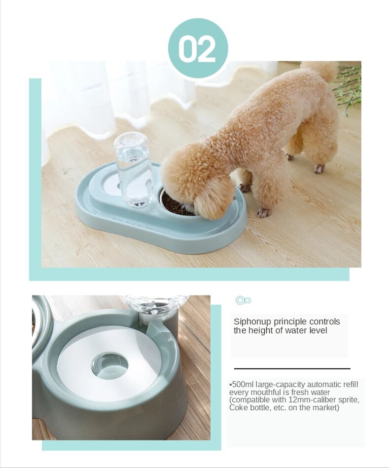 Double bol pour chien, bassin de nourriture, bassin de riz pour chien et chat, distributeur d'eau automatique, manger, boire de l'eau, fournitures pour animaux de compagnie