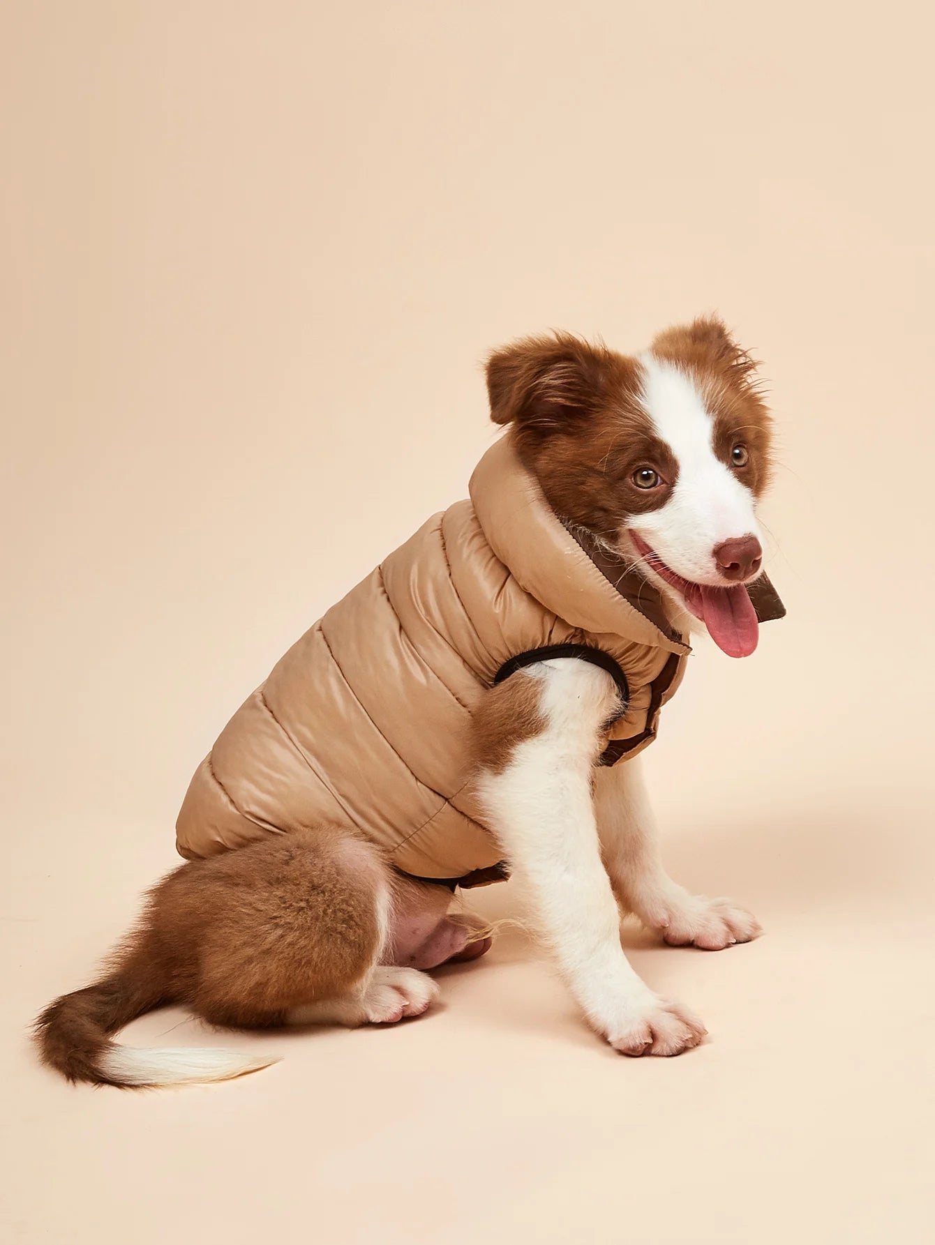 Waterproof Dog Clothes for Big Dogs Winter Reversible Pet Jacket Soft Padded Puffy Large Dog Down Jacket Light Weight Husky 5XL