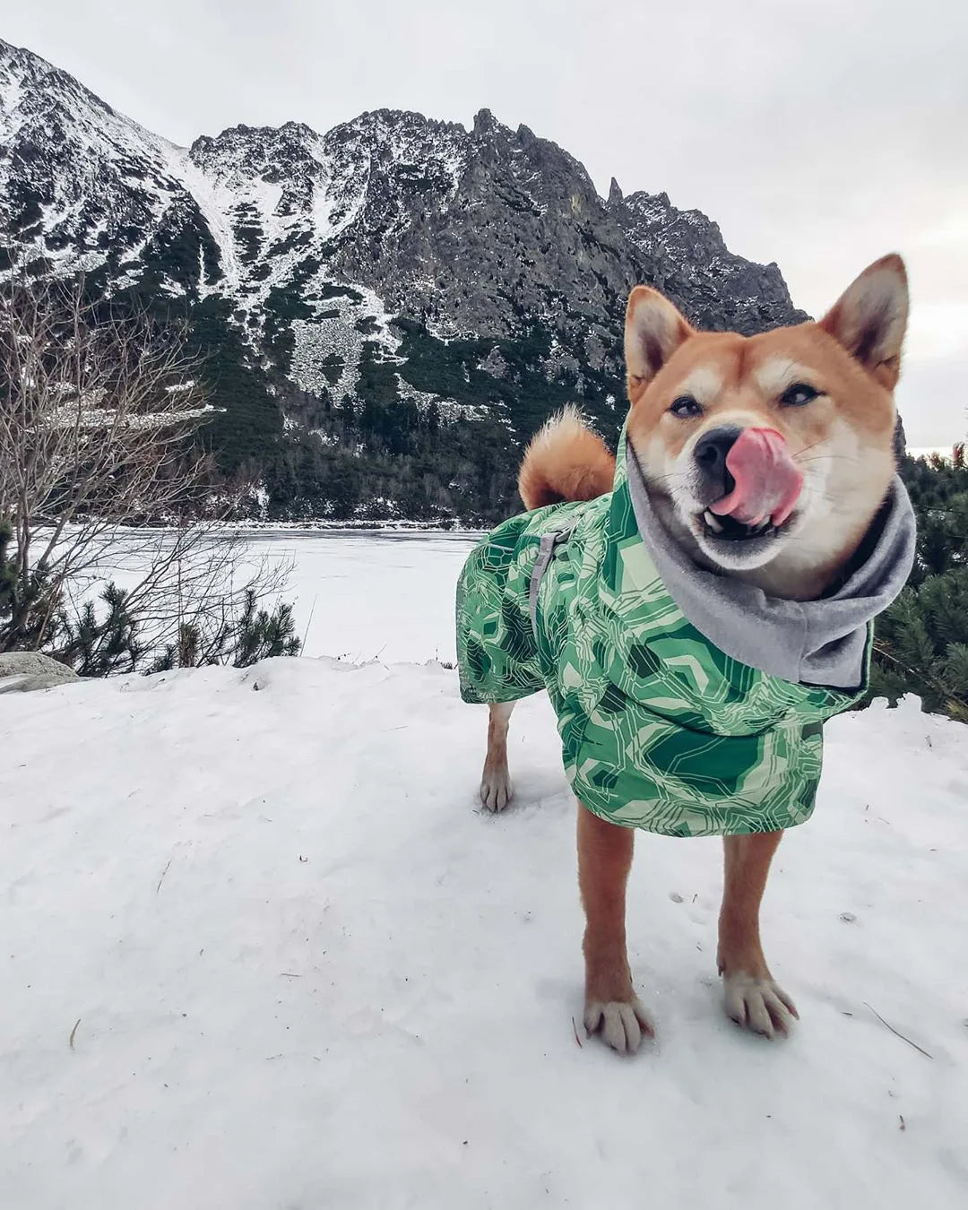 Ropa acolchada de invierno para perros, chaqueta impermeable muy cálidas para perros grandes, abrigo de algodón más grueso, ropa para mascotas, cachorros