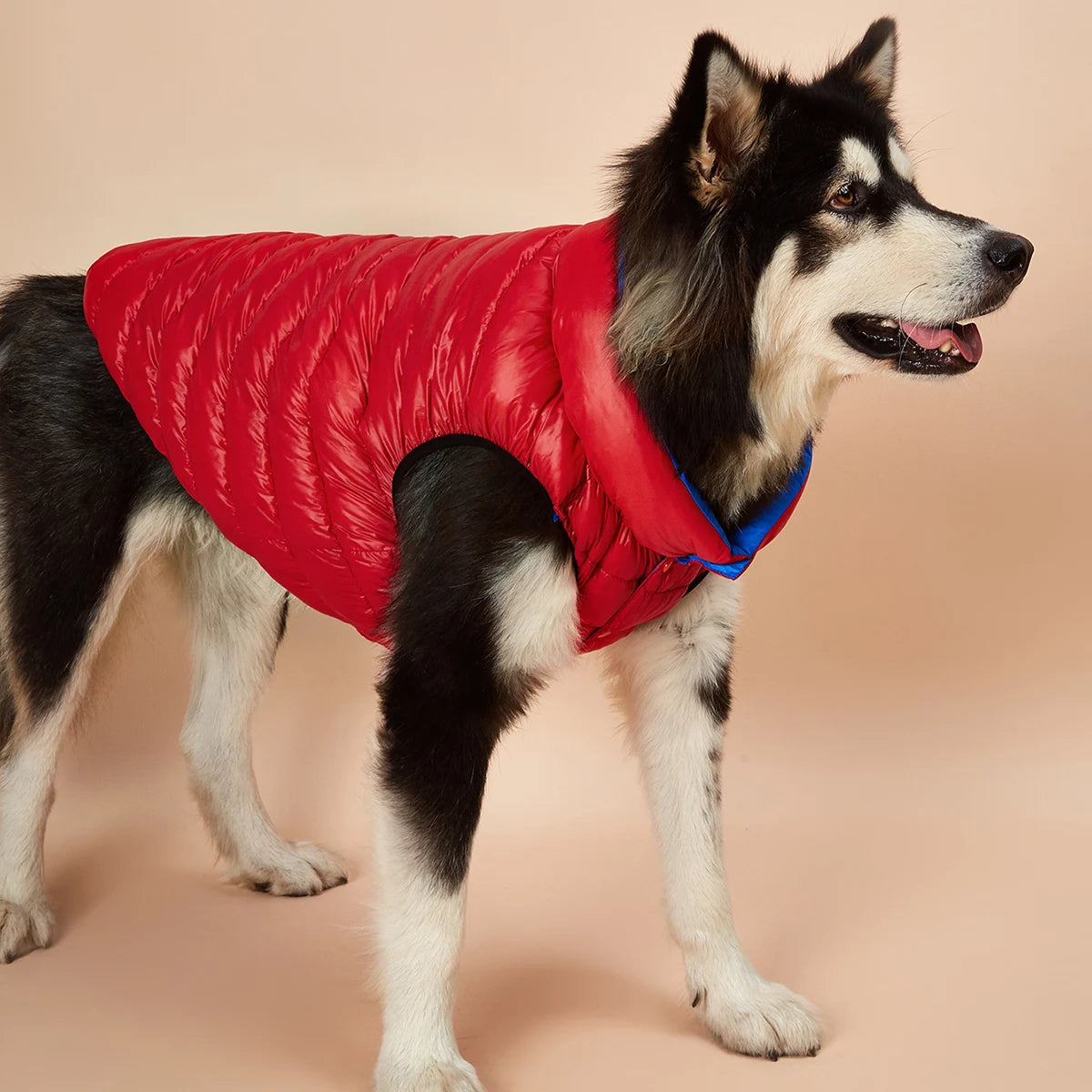 Ropa impermeable para perros grandes, chaqueta Reversible de invierno para mascotas, chaqueta acolchada suave y hinchada para perros grandes, peso ligero Husky 5XL