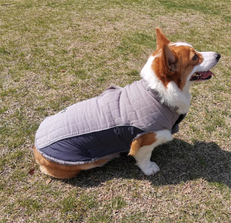 Ropa de invierno para perros Ropa gruesa de lana cálida para perros Chaqueta de invierno para perros Reflectante Ajustable Vientre Acolchado Abrigo para perros Capucha extraíble Estilo de moda