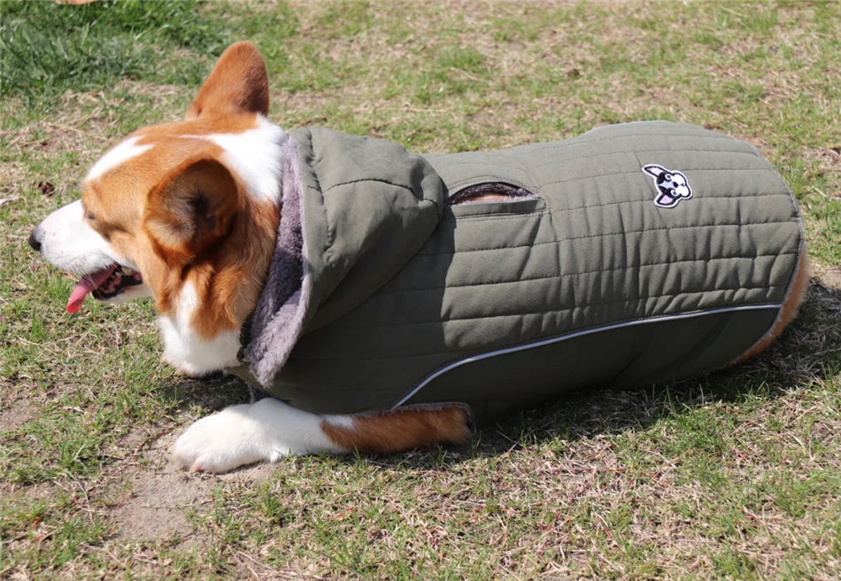 Ropa de invierno para perros Ropa gruesa de lana cálida para perros Chaqueta de invierno para perros Reflectante Ajustable Vientre Acolchado Abrigo para perros Capucha extraíble Estilo de moda