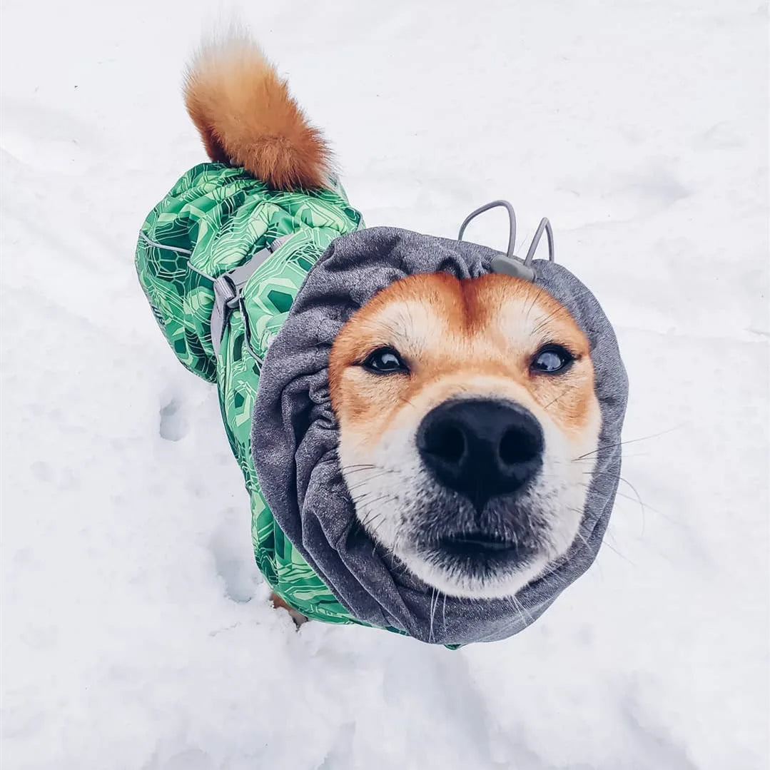 Ropa acolchada de invierno para perros, chaqueta impermeable muy cálidas para perros grandes, abrigo de algodón más grueso, ropa para mascotas, cachorros