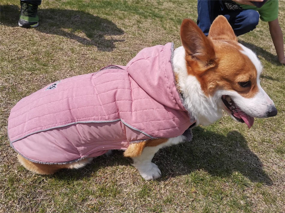 Vêtements d'hiver pour chien en polaire épaisse, vêtements chauds pour chien, veste d'hiver réfléchissante réglable sur le ventre, manteau matelassé pour chien, capuche amovible, Style à la mode