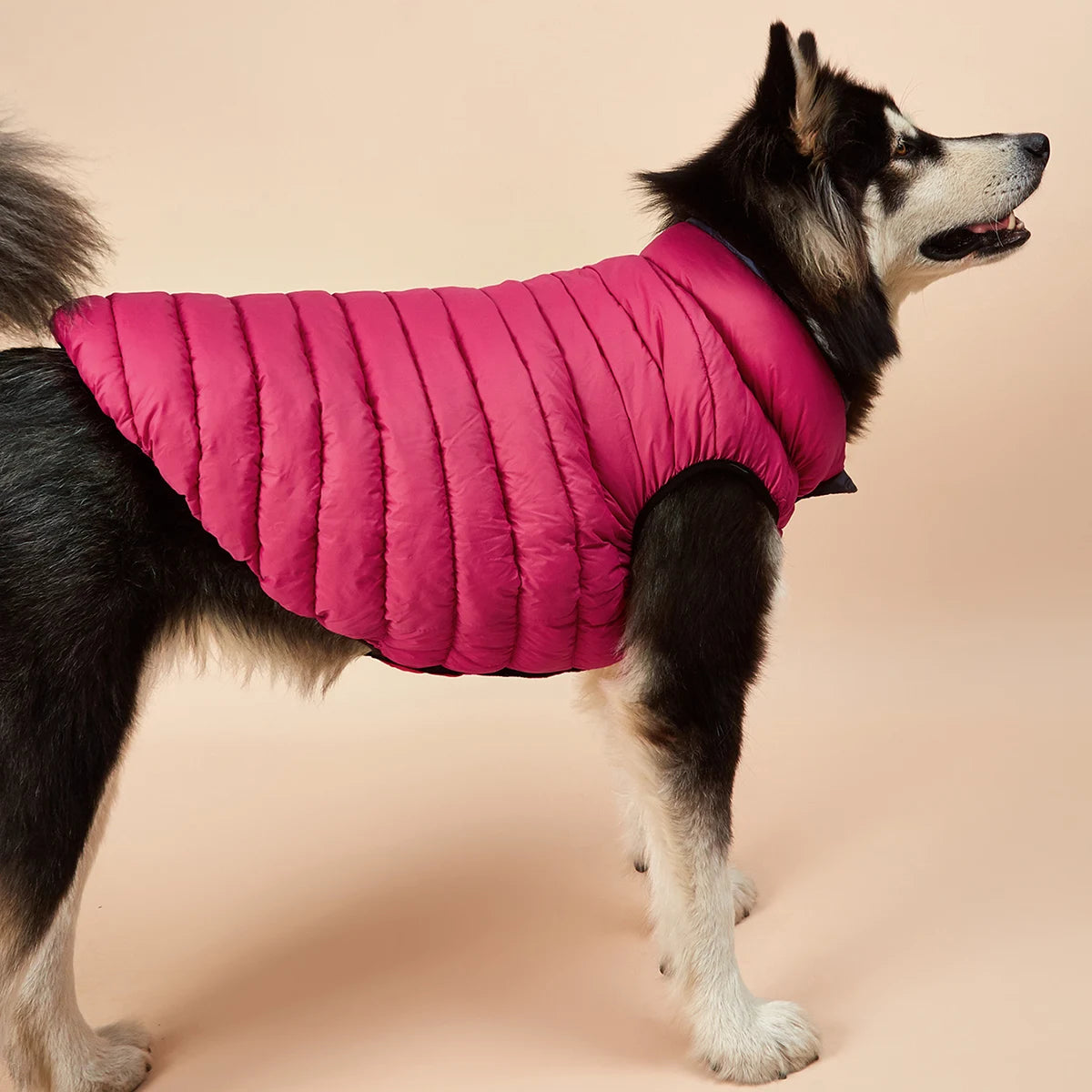 Vêtements imperméables pour grands chiens, veste d'hiver réversible pour animaux de compagnie, douce, rembourrée, bouffante, doudoune légère, Husky 5XL