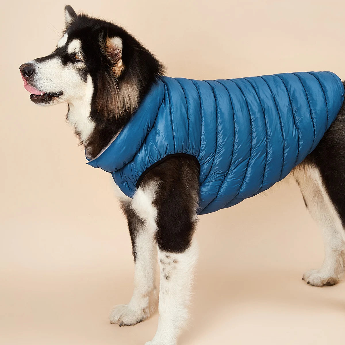 Vêtements imperméables pour grands chiens, veste d'hiver réversible pour animaux de compagnie, douce, rembourrée, bouffante, doudoune légère, Husky 5XL