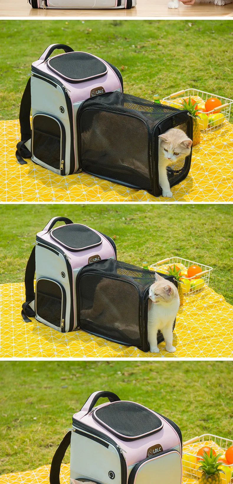 Expandable Cat Carrier Backpack Large Capacity Puppy Dogs Breathable Carrying Bags Small Pet Foldable Outdoor Travel Backpacks