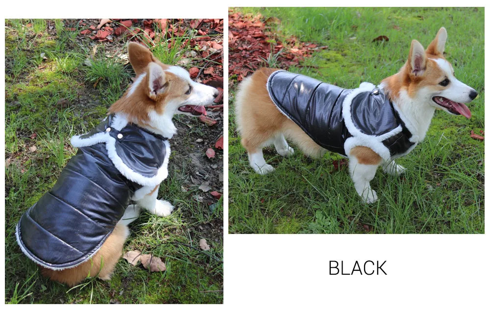 Ropa de invierno para perros, chaqueta bonita de piel blanca para perros, capa cálida para perros pequeños y grandes, abrigo acolchado suave para mascotas, estilo de moda Dachshund Yorkies