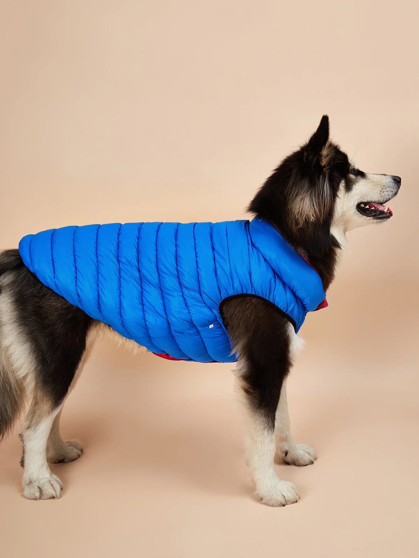 Ropa impermeable para perros grandes, chaqueta Reversible de invierno para mascotas, chaqueta acolchada suave y hinchada para perros grandes, peso ligero Husky 5XL