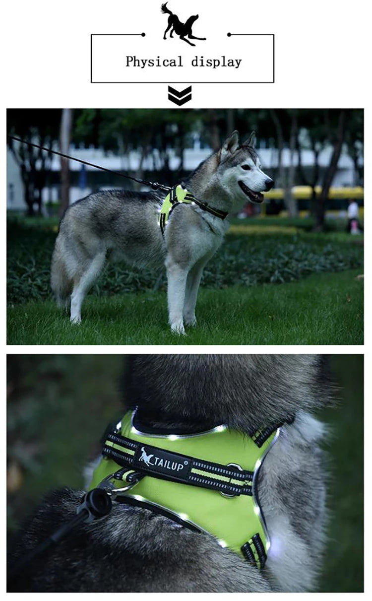 Arnés LED recargable para mascotas, perro con luz intermitente Led de nailon, Collar, correa de seguridad para mascotas, accesorios para perros