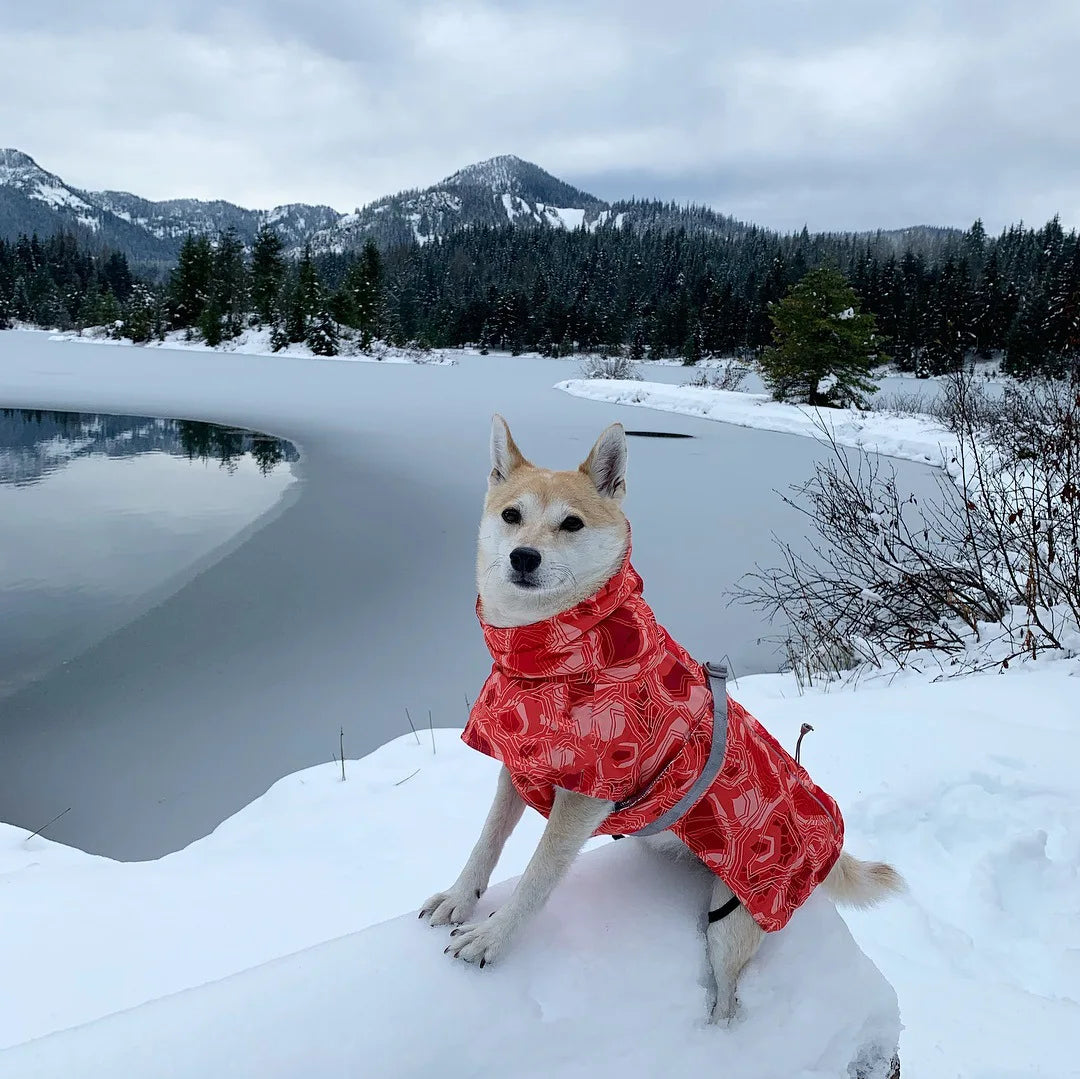 Ropa acolchada de invierno para perros, chaqueta impermeable muy cálidas para perros grandes, abrigo de algodón más grueso, ropa para mascotas, cachorros