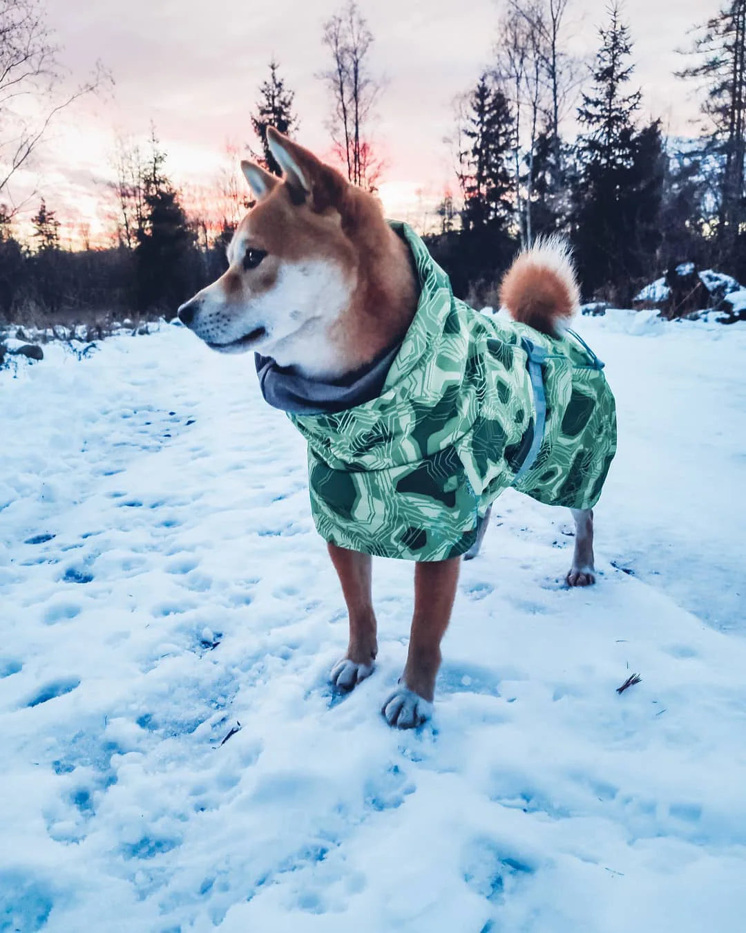 Ropa acolchada de invierno para perros, chaqueta impermeable muy cálidas para perros grandes, abrigo de algodón más grueso, ropa para mascotas, cachorros