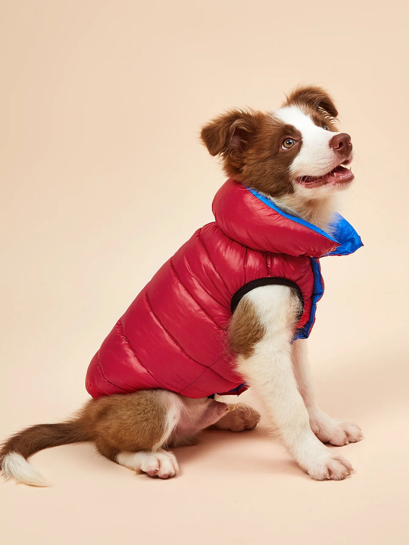 Vêtements imperméables pour grands chiens, veste d'hiver réversible pour animaux de compagnie, douce, rembourrée, bouffante, doudoune légère, Husky 5XL