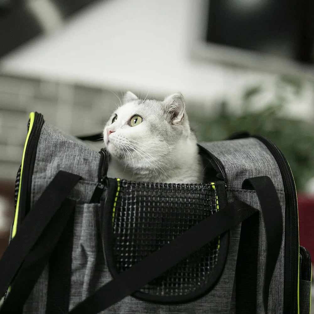 Transportín para mascotas, aprobado por la aerolínea, transportador lateral suave para gatos y perros, portátil, transpirable, acogedor, bolsa de viaje para mascotas, transportador seguro para asiento de coche