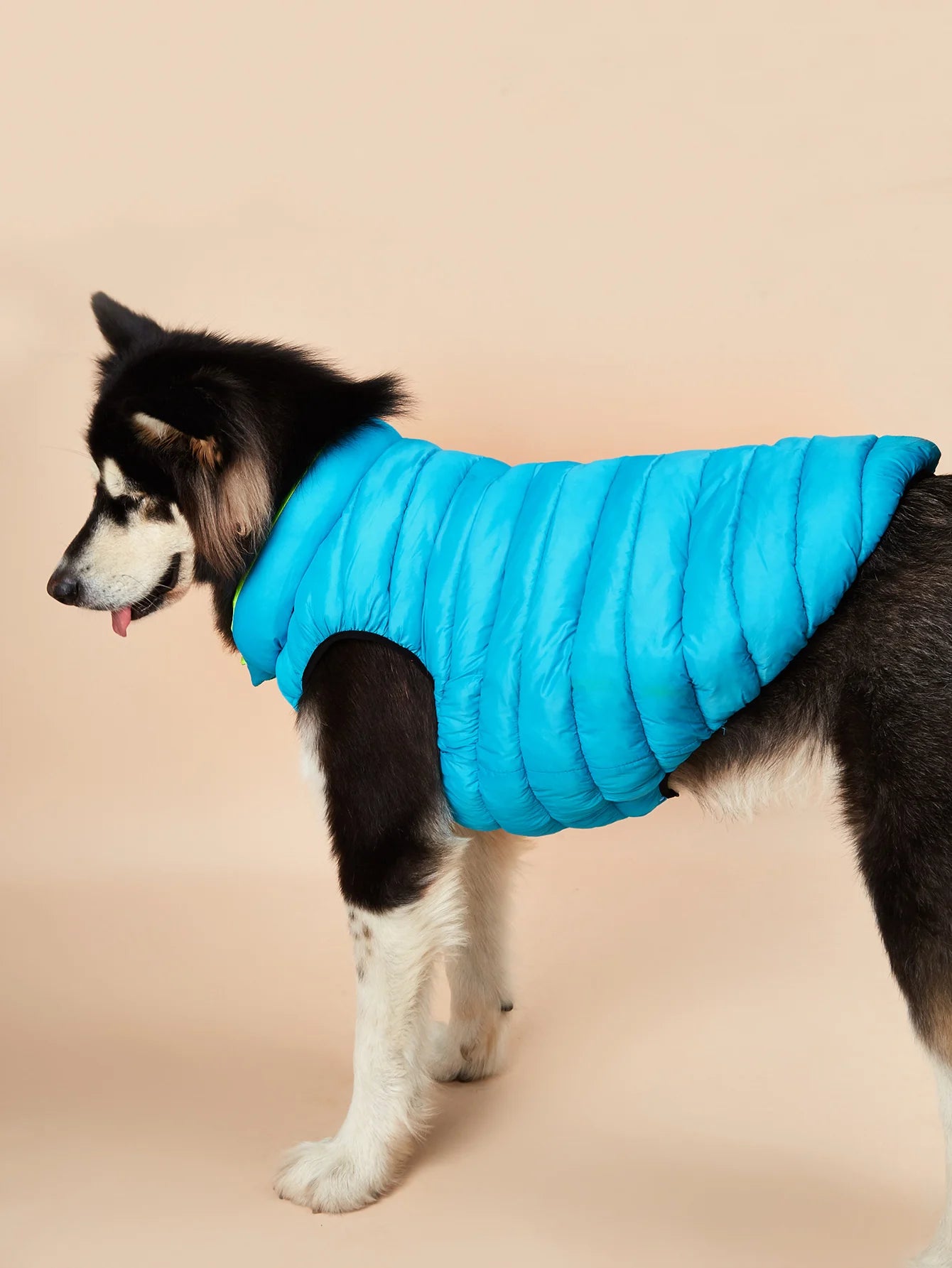 Vêtements imperméables pour grands chiens, veste d'hiver réversible pour animaux de compagnie, douce, rembourrée, bouffante, doudoune légère, Husky 5XL