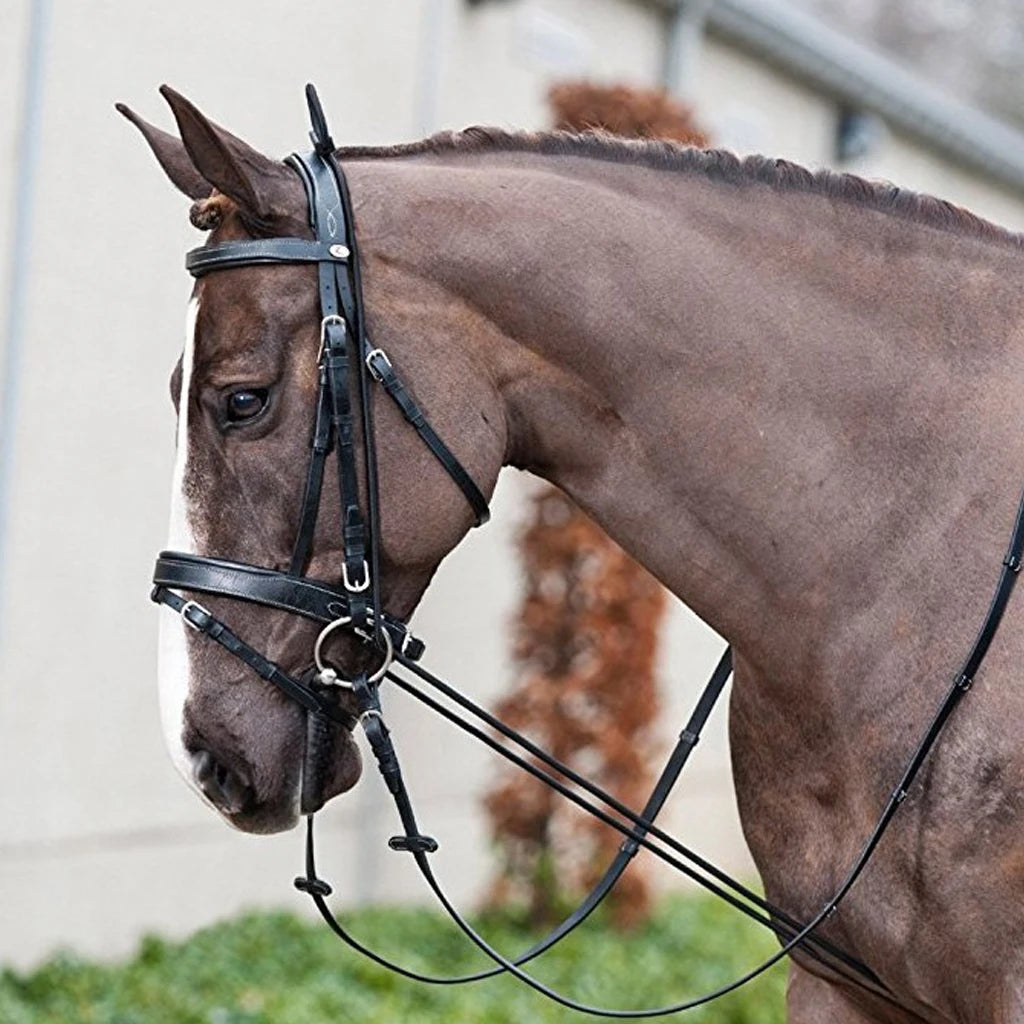 Horse Neck Stretcher for Young Horses Training Equestrian Gear Accessories