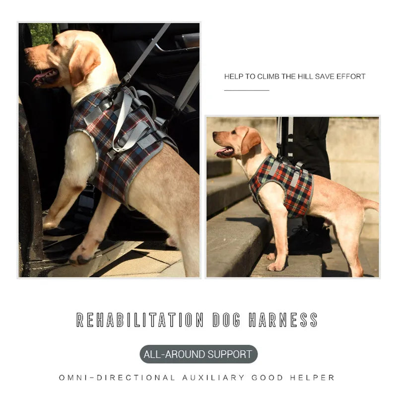 Arnés de apoyo para perros discapacitados, arnés de elevación para perros, arnés de rehabilitación, soporte de cintura para lesiones antiguas en las articulaciones, accesorios para caminar para perros