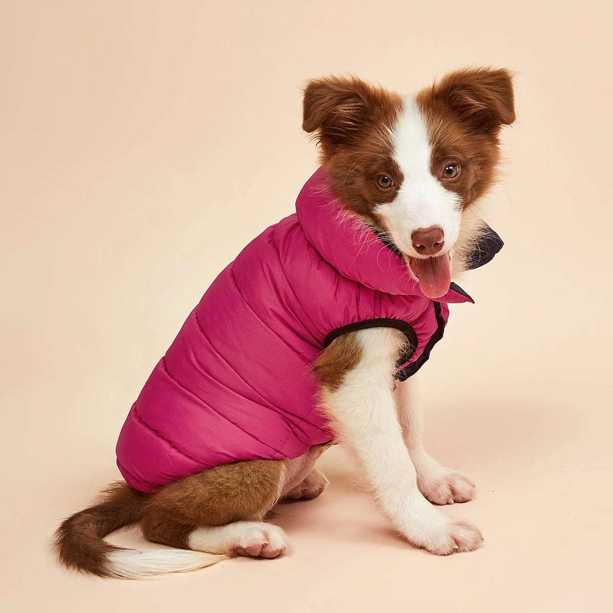 Vêtements imperméables pour grands chiens, veste d'hiver réversible pour animaux de compagnie, douce, rembourrée, bouffante, doudoune légère, Husky 5XL