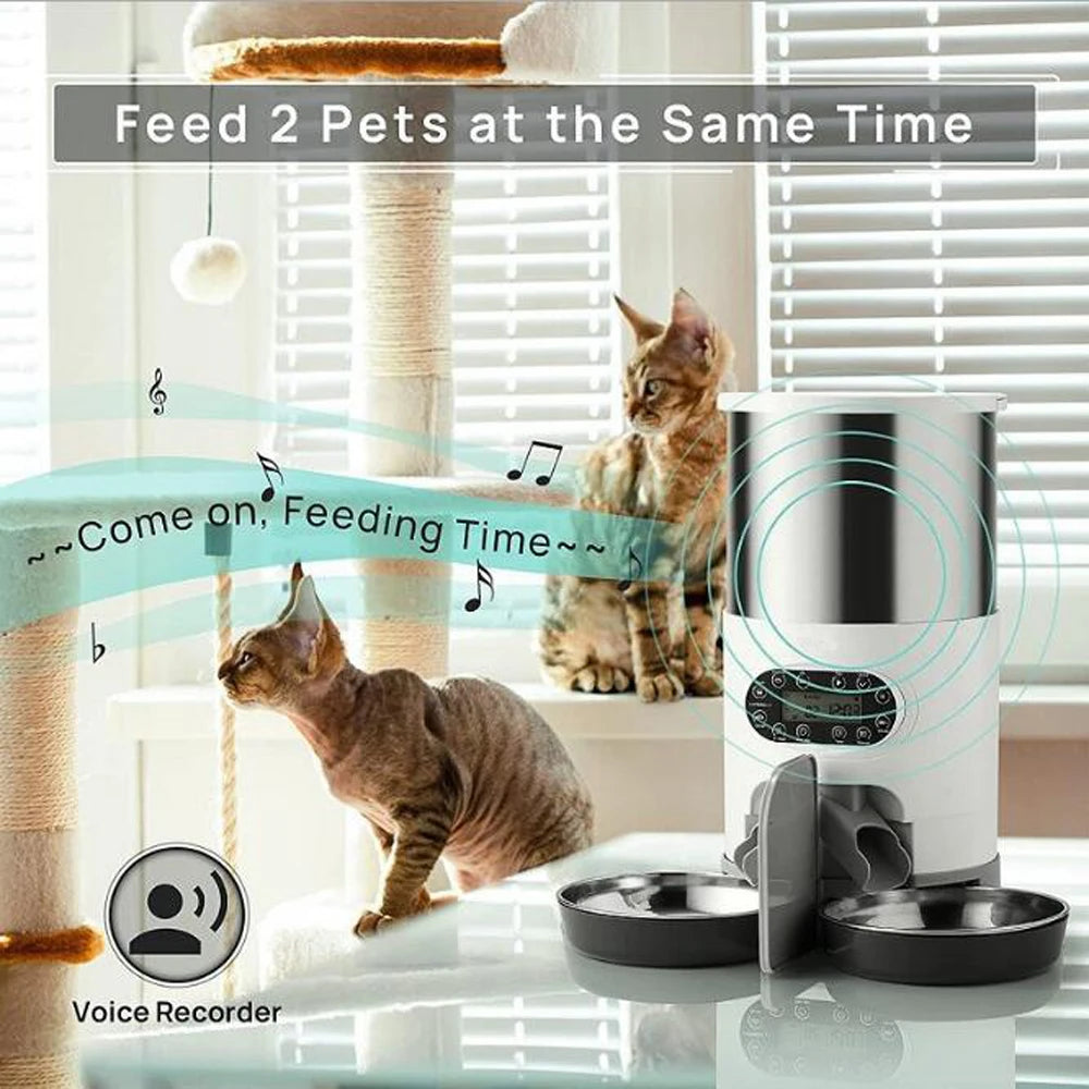 Mangeoire pour animal domestique intelligente, distributeur automatique de nourriture pour chats et chiens, bol en acier inoxydable pour chats et chiens avec enregistrement de l'alimentation