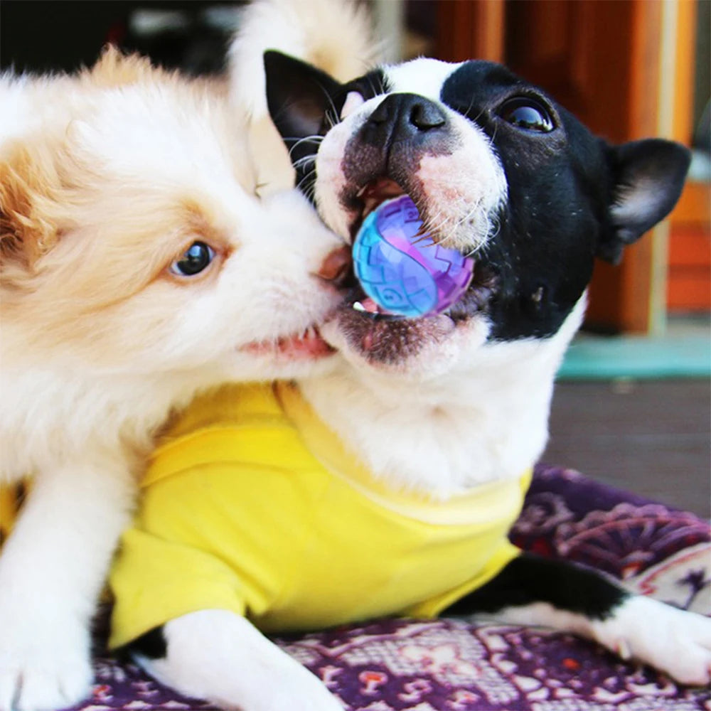 Juguetes chirriantes para perros y mascotas, juguetes para masticar para cachorros, sonido puro, caucho Natural no tóxico, juego al aire libre, perro grande y pequeño, pelota elástica divertida