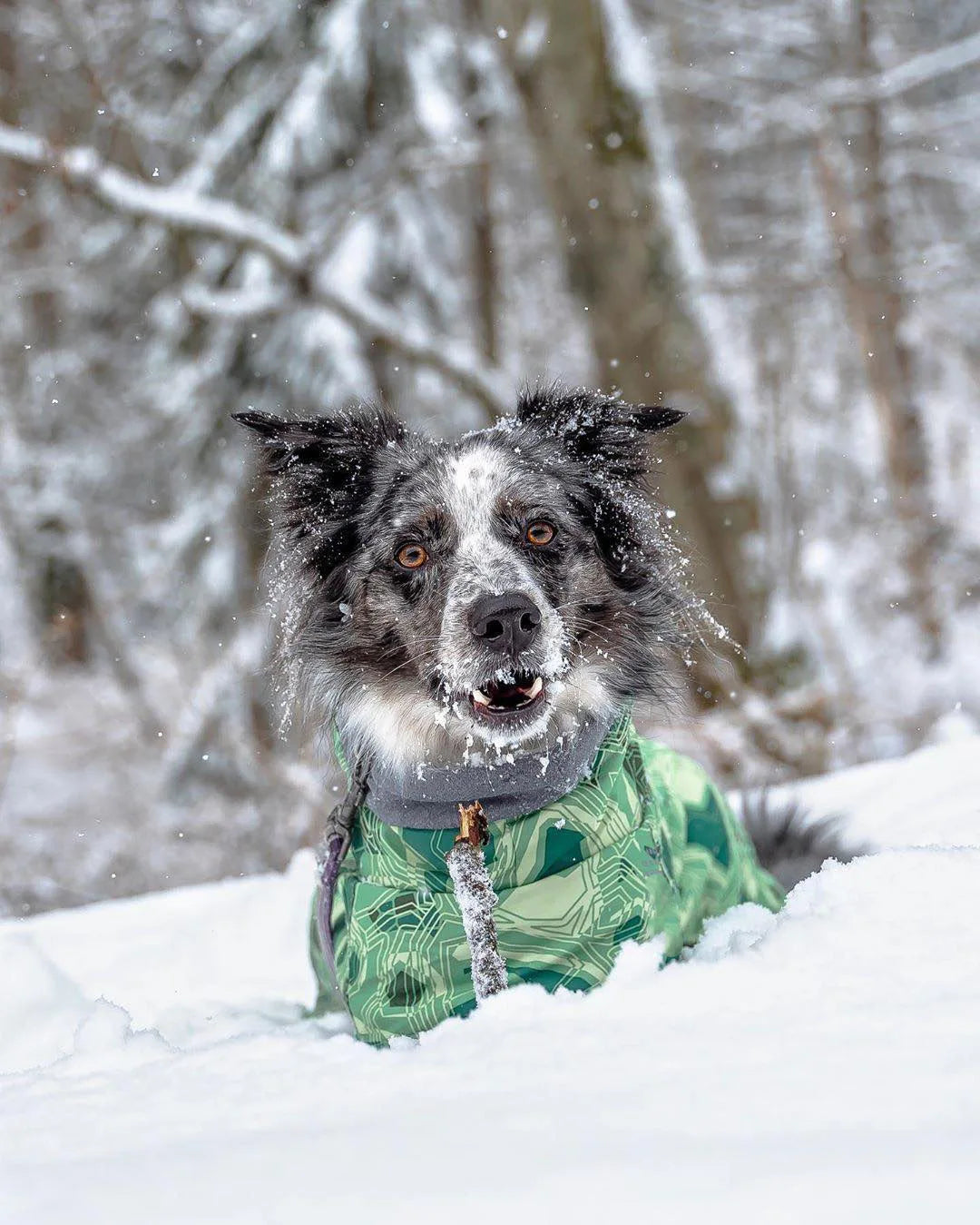 Ropa acolchada de invierno para perros, chaqueta impermeable muy cálidas para perros grandes, abrigo de algodón más grueso, ropa para mascotas, cachorros