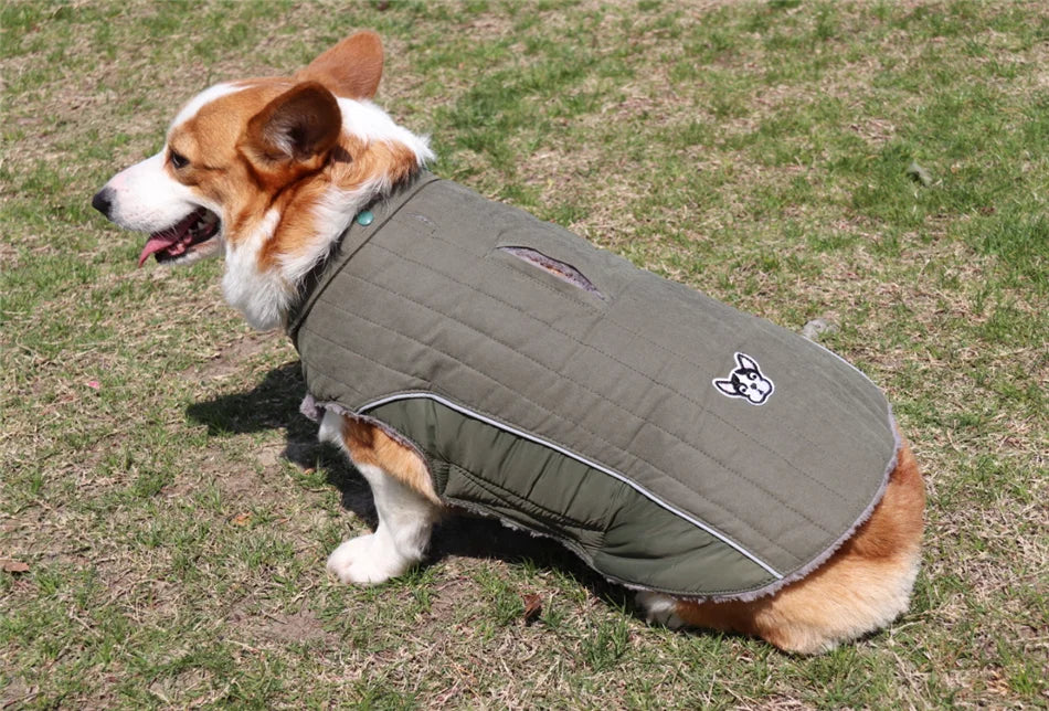 Ropa de invierno para perros Ropa gruesa de lana cálida para perros Chaqueta de invierno para perros Reflectante Ajustable Vientre Acolchado Abrigo para perros Capucha extraíble Estilo de moda