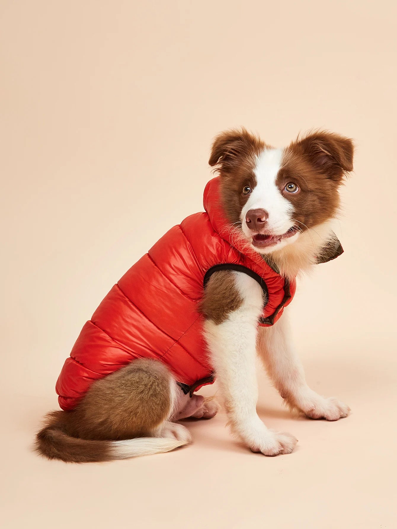 Ropa impermeable para perros grandes, chaqueta Reversible de invierno para mascotas, chaqueta acolchada suave y hinchada para perros grandes, peso ligero Husky 5XL