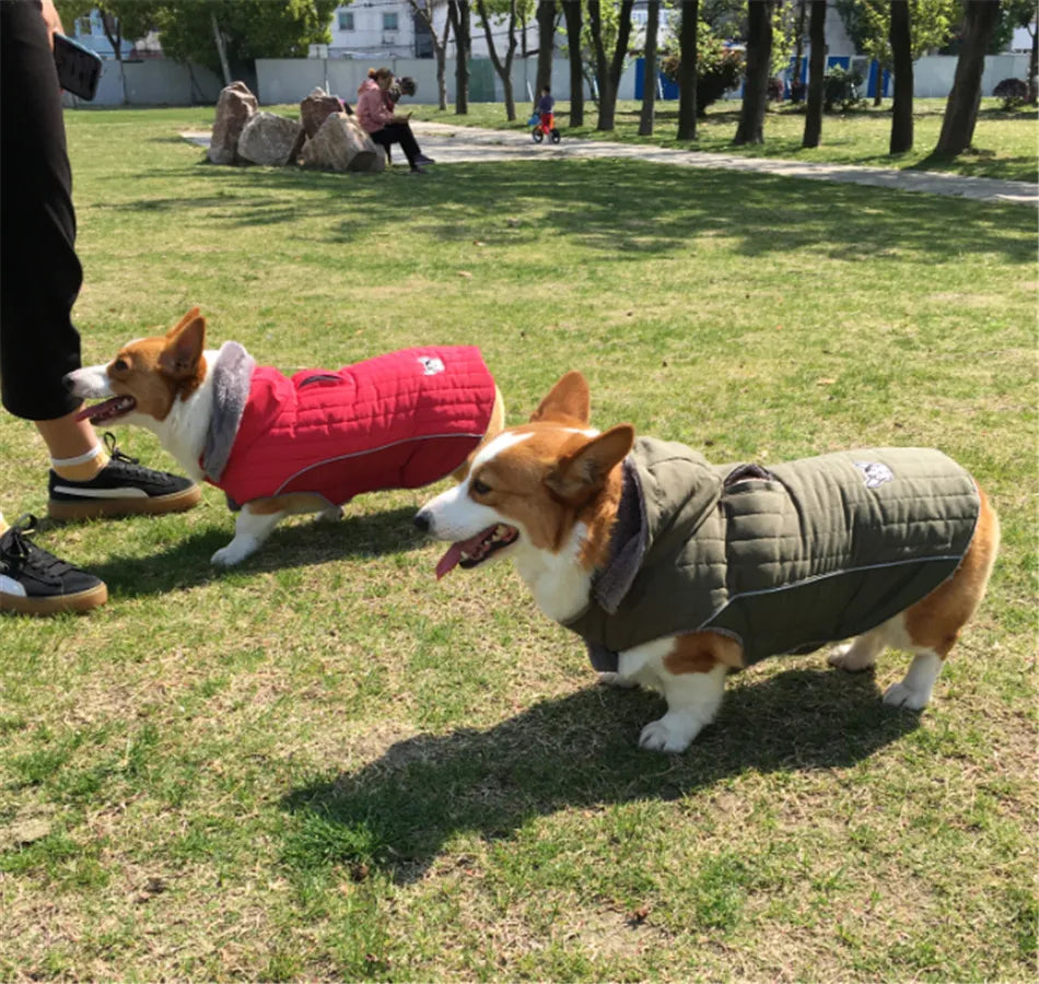 Ropa de invierno para perros Ropa gruesa de lana cálida para perros Chaqueta de invierno para perros Reflectante Ajustable Vientre Acolchado Abrigo para perros Capucha extraíble Estilo de moda