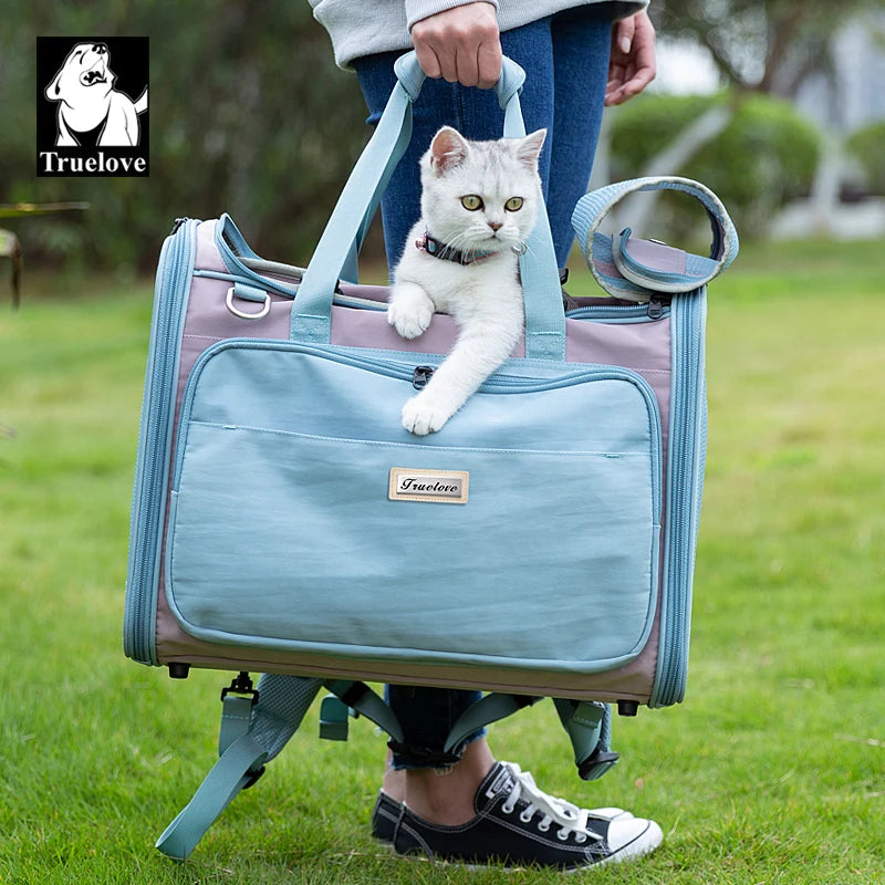 Sac de transport pour animaux de compagnie, chat, chien, voyage à l'extérieur pour petits et moyens chatons et chiots, respirant