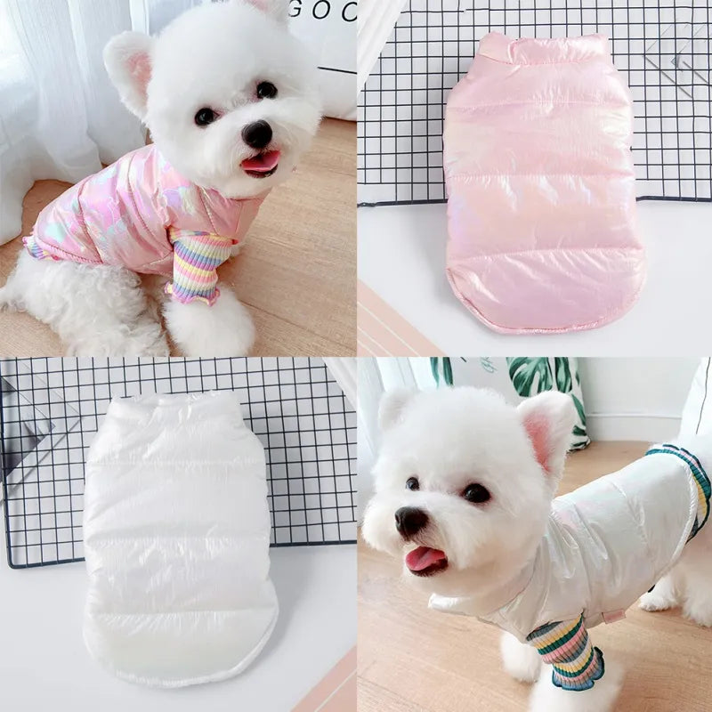 Ropa para mascotas para perros pequeños, chaqueta impermeable para cachorros, chaleco cálido de invierno, abrigo para perros, ropa para Chihuahua, Bulldog Francés