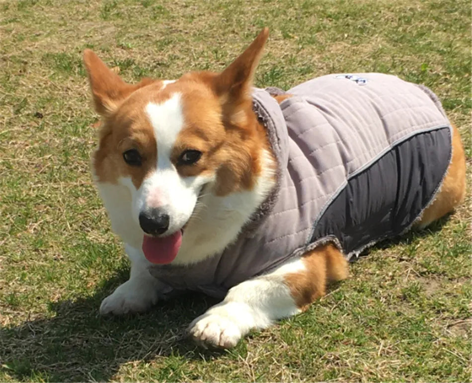 Ropa de invierno para perros Ropa gruesa de lana cálida para perros Chaqueta de invierno para perros Reflectante Ajustable Vientre Acolchado Abrigo para perros Capucha extraíble Estilo de moda