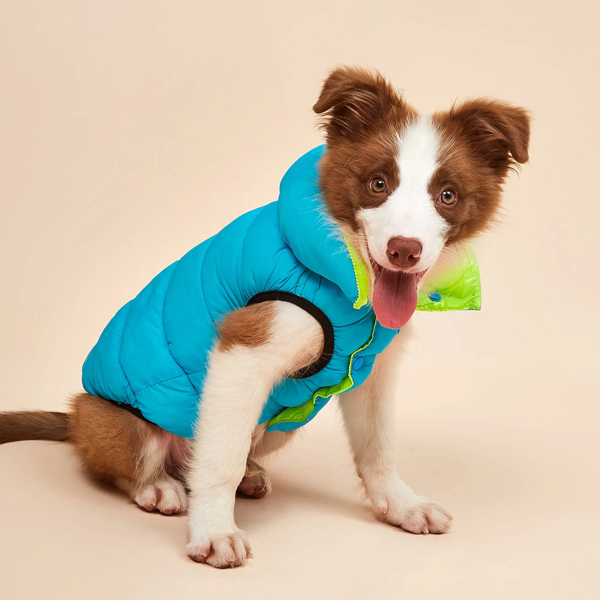 Vêtements imperméables pour grands chiens, veste d'hiver réversible pour animaux de compagnie, douce, rembourrée, bouffante, doudoune légère, Husky 5XL