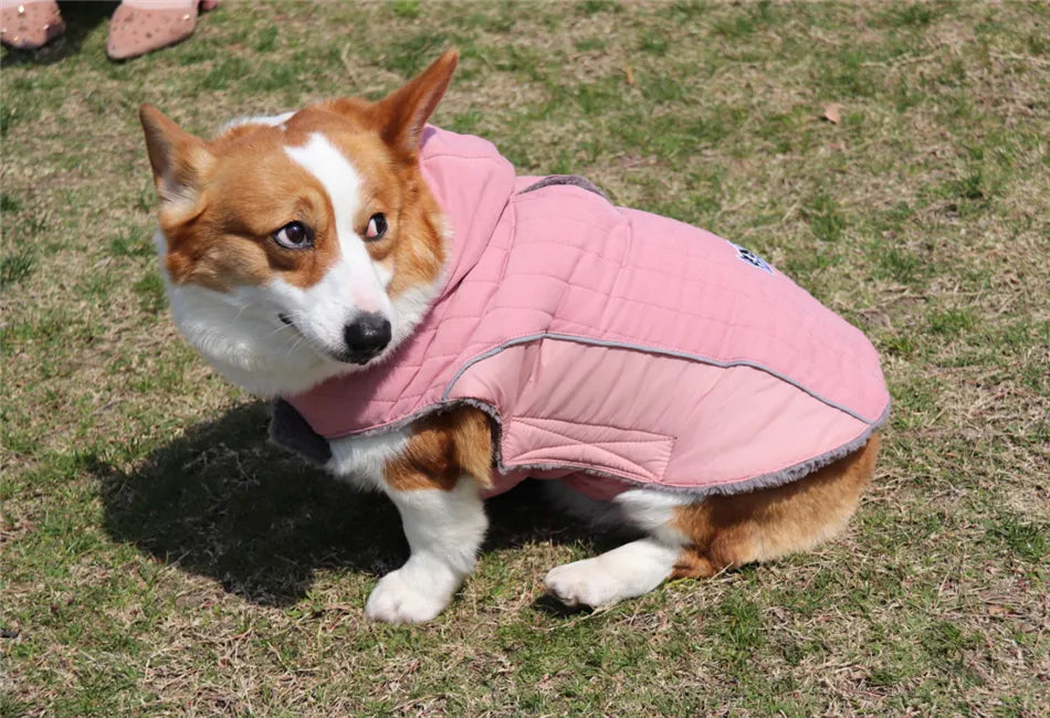 Ropa de invierno para perros Ropa gruesa de lana cálida para perros Chaqueta de invierno para perros Reflectante Ajustable Vientre Acolchado Abrigo para perros Capucha extraíble Estilo de moda